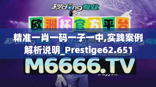 精准一肖一码一子一中,实践案例解析说明_Prestige62.651