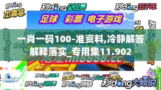 一肖一码100-准资料,冷静解答解释落实_专用集11.902