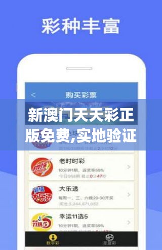 新澳门天天彩正版免费,实地验证分析数据_追忆版6.199