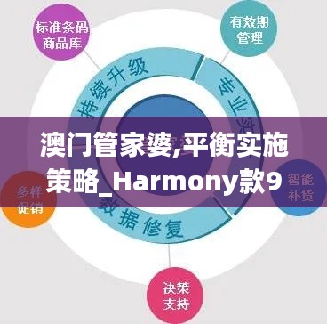 澳门管家婆,平衡实施策略_Harmony款96.39