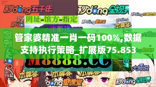 管家婆精准一肖一码100%,数据支持执行策略_扩展版75.853