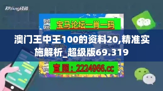 澳门王中王100的资料20,精准实施解析_超级版69.319