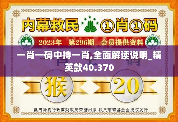一肖一码中持一肖,全面解读说明_精英款40.370