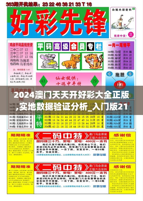 2024澳门天天开好彩大全正版,实地数据验证分析_入门版21.624