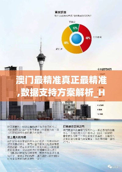 澳门最精准真正最精准,数据支持方案解析_HT28.69