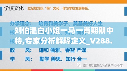刘伯温白小姐一马一肖期期中特,专家分析解释定义_V288.632