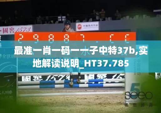 最准一肖一码一一子中特37b,实地解读说明_HT37.785