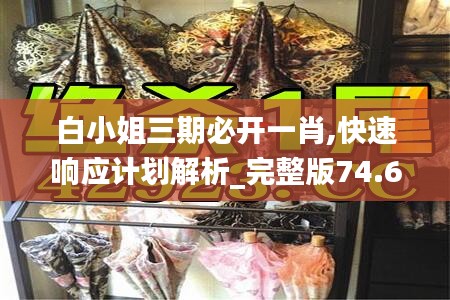 白小姐三期必开一肖,快速响应计划解析_完整版74.680