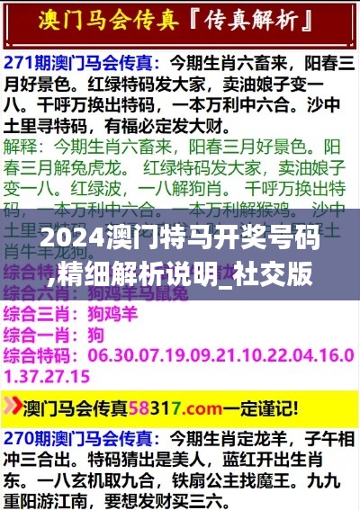 2024澳门特马开奖号码,精细解析说明_社交版56.856