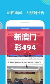 新澳门彩4949开奖记录,专业分析解析说明_云端版78.981