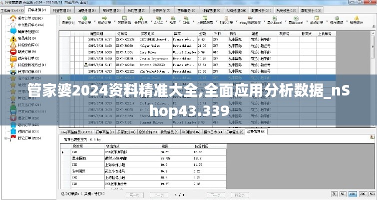 管家婆2024资料精准大全,全面应用分析数据_nShop43.339