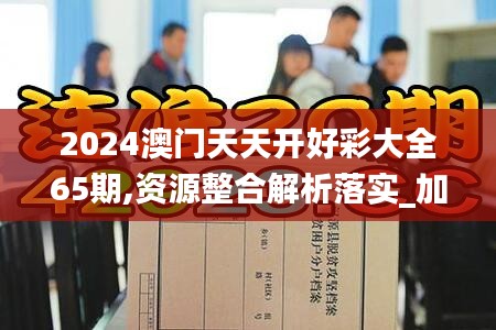2024澳门天天开好彩大全65期,资源整合解析落实_加强版84.207
