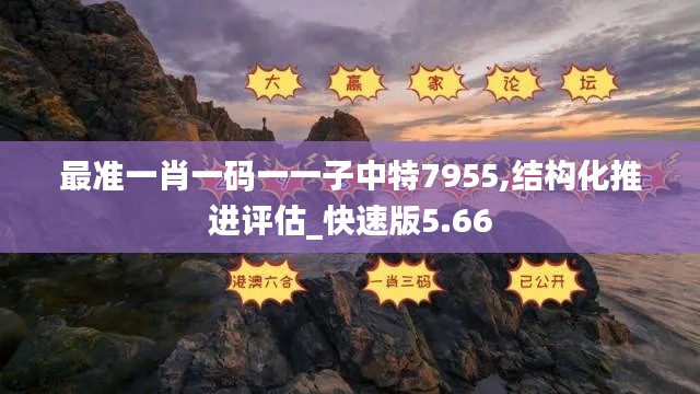 最准一肖一码一一子中特7955,结构化推进评估_快速版5.66