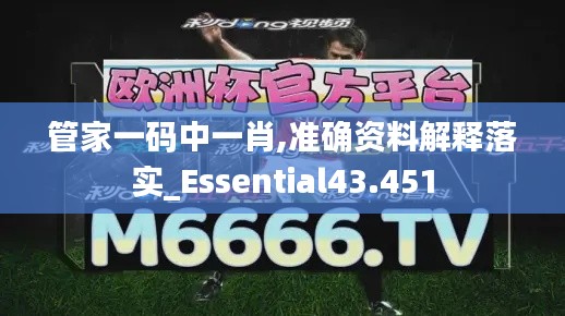 管家一码中一肖,准确资料解释落实_Essential43.451