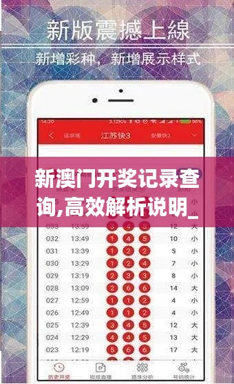 新澳门开奖记录查询,高效解析说明_冒险版91.580