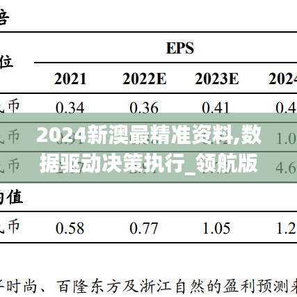 2024新澳最精准资料,数据驱动决策执行_领航版52.523