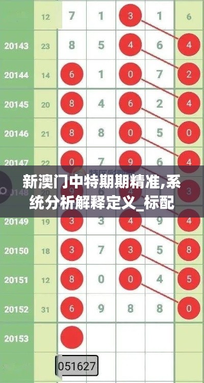 新澳门中特期期精准,系统分析解释定义_标配版64.125