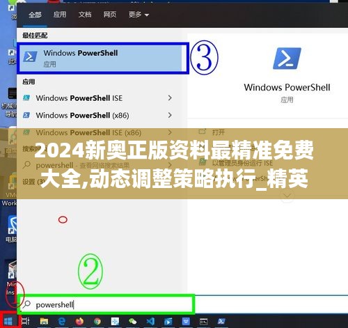 2024新奥正版资料最精准免费大全,动态调整策略执行_精英版31.36