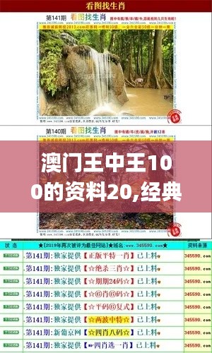 澳门王中王100的资料20,经典分析说明_Windows26.237