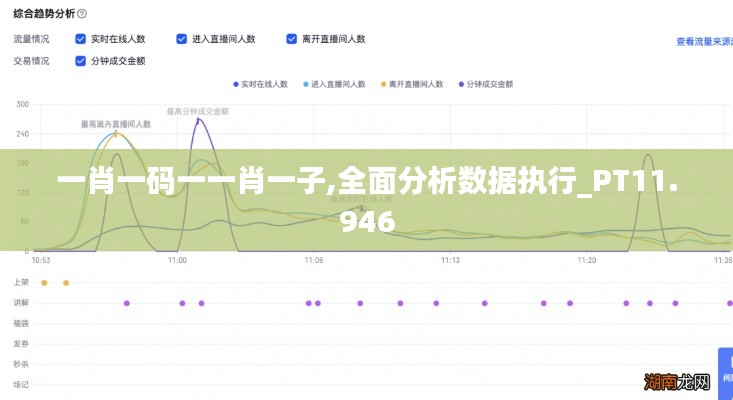 一肖一码一一肖一子,全面分析数据执行_PT11.946
