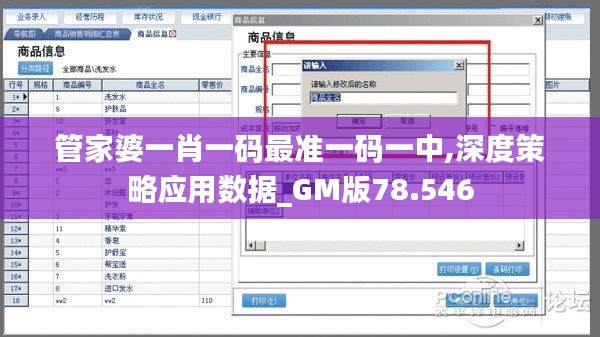 管家婆一肖一码最准一码一中,深度策略应用数据_GM版78.546