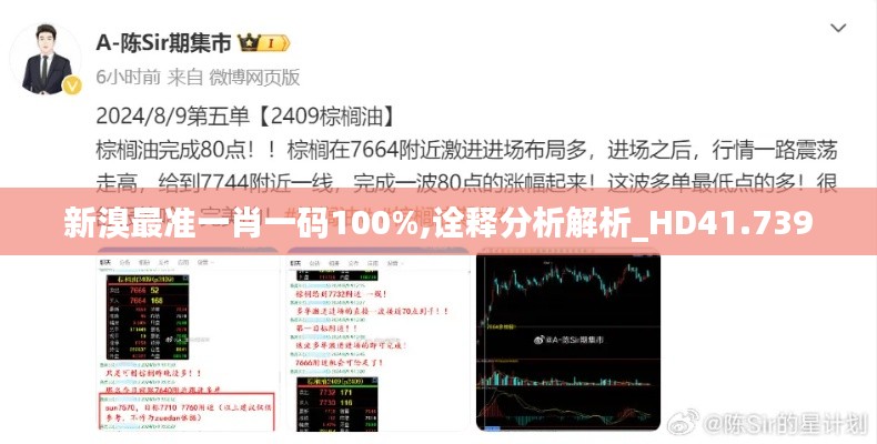 新溴最准一肖一码100%,诠释分析解析_HD41.739