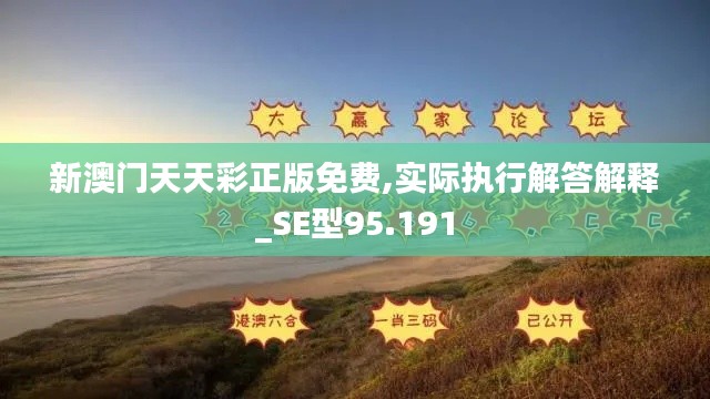 新澳门天天彩正版免费,实际执行解答解释_SE型95.191