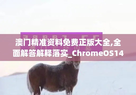 澳门精准资料免费正版大全,全面解答解释落实_ChromeOS14.377