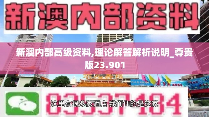 新澳内部高级资料,理论解答解析说明_尊贵版23.901