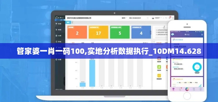 管家婆一肖一码100,实地分析数据执行_10DM14.628