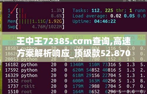 王中王72385.cσm查询,高速方案解析响应_顶级款52.870