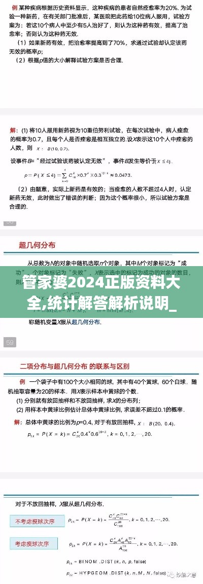 管家婆2024正版资料大全,统计解答解析说明_至尊版40.548