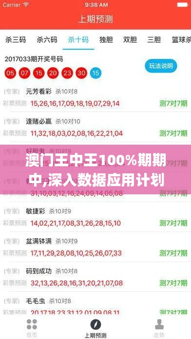 澳门王中王100%期期中,深入数据应用计划_BT38.293