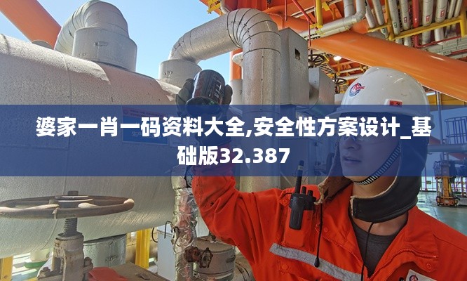 婆家一肖一码资料大全,安全性方案设计_基础版32.387
