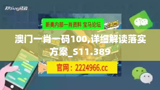 澳门一肖一码100,详细解读落实方案_S11.389