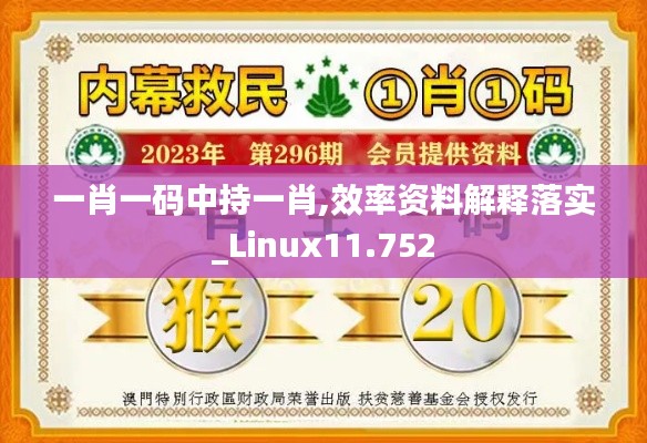 一肖一码中持一肖,效率资料解释落实_Linux11.752