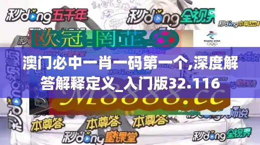 澳门必中一肖一码第一个,深度解答解释定义_入门版32.116