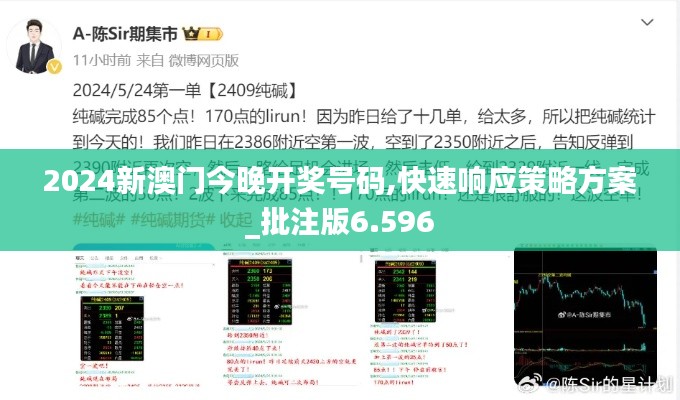 2024新澳门今晚开奖号码,快速响应策略方案_批注版6.596