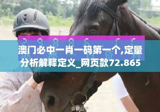 澳门必中一肖一码第一个,定量分析解释定义_网页款72.865
