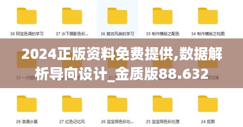 2024正版资料免费提供,数据解析导向设计_金质版88.632