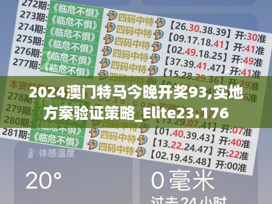 2024澳门特马今晚开奖93,实地方案验证策略_Elite23.176