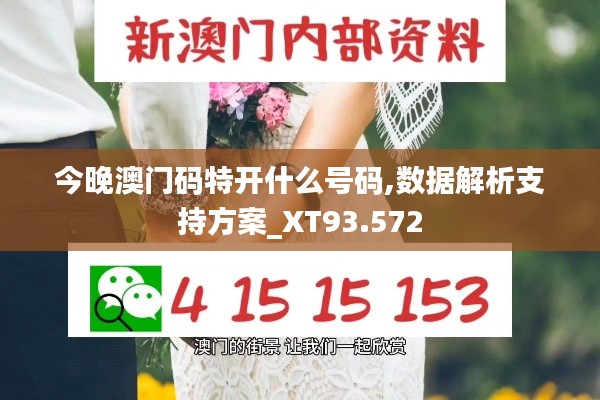 今晚澳门码特开什么号码,数据解析支持方案_XT93.572