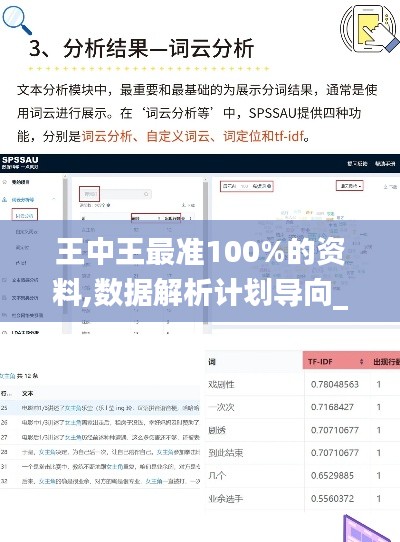 王中王最准100%的资料,数据解析计划导向_交互版72.707