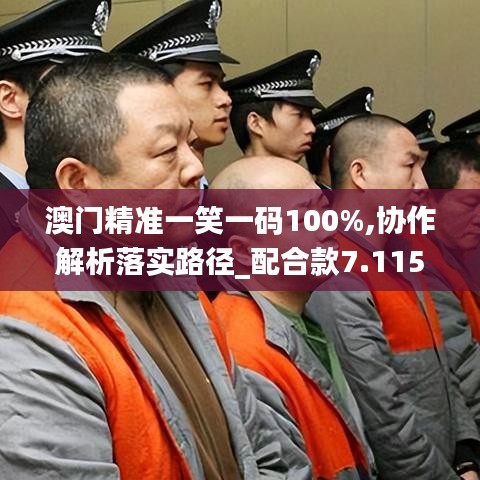 澳门精准一笑一码100%,协作解析落实路径_配合款7.115
