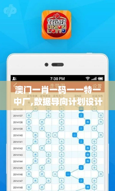 澳门一肖一码一一特一中厂,数据导向计划设计_特别款19.352
