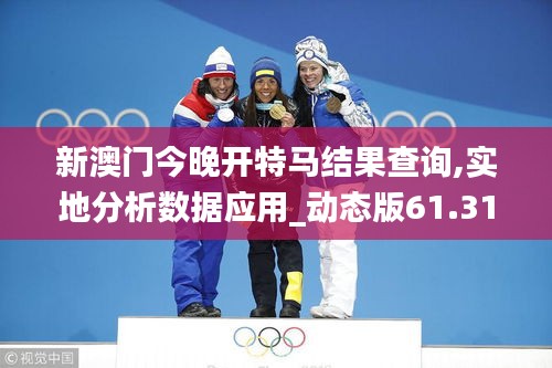 新澳门今晚开特马结果查询,实地分析数据应用_动态版61.316