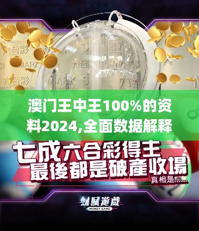 澳门王中王100%的资料2024,全面数据解释定义_安卓款96.217