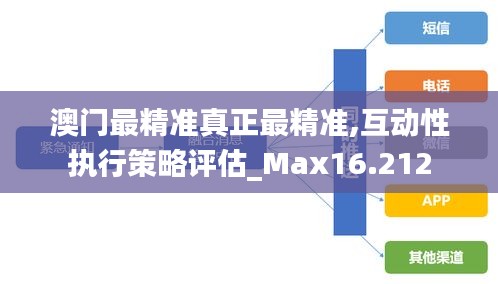 澳门最精准真正最精准,互动性执行策略评估_Max16.212