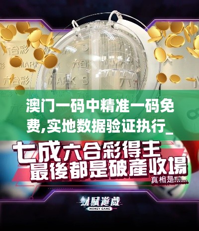 澳门一码中精准一码免费,实地数据验证执行_纪念版58.522