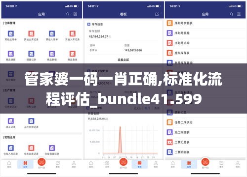 管家婆一码一肖正确,标准化流程评估_bundle41.599